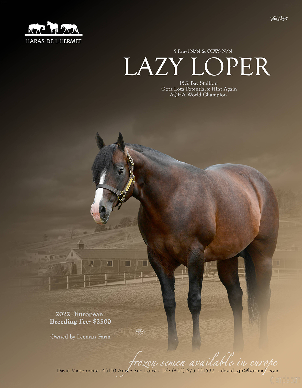 Lazy Loper = AQHA Western Pleasure Stallions